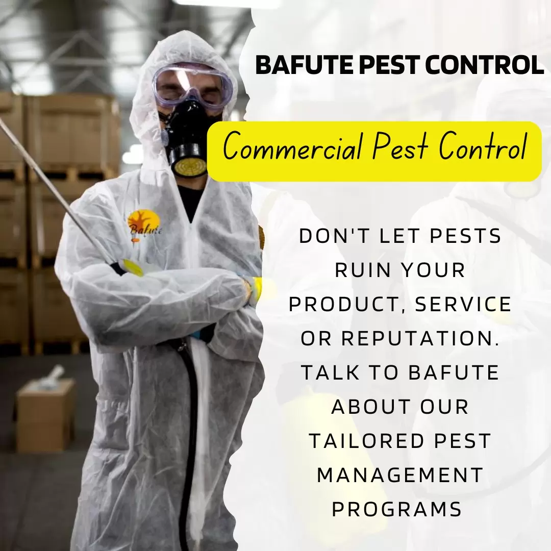 Commercial pest control for business