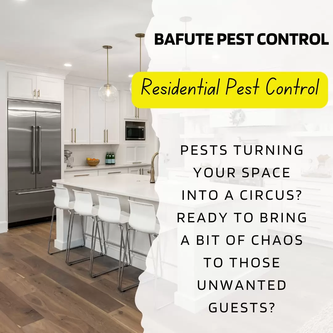 Residential Pest Control